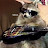@raccoonrecorder