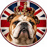 S-V64xTo9JA-channel-avatar-The Bulldog Spirit and 2 more