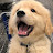 @myongmyong.e2