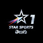 Star Sports Telugu logo