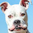 @rictor133's avatar