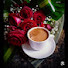 CR6Yhu9sqeE-channel-avatar-فنجانك ☕