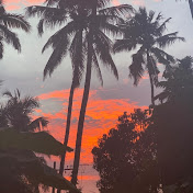 IndianVibes