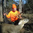Northern Forest Whitetail