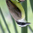 @sloanlance Avatar