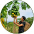 gKvcKY4Non0-channel-avatar-Toan Forest Life