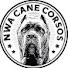 ASdp4N20uJQ-channel-avatar-NWA Cane Corsos -An All Dog Breed Podcast and The Corso Academy Podcast 