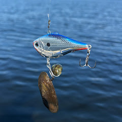 Midmouth Bass