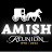 Amish The Reunion 2023
