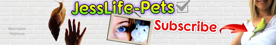 JessLife-Pets ইউটিউব চ্যানেল অ্যাভাটার