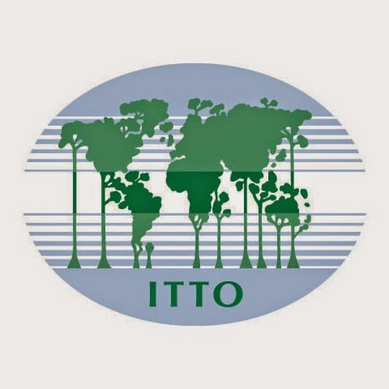 SFM Itto