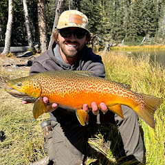 Bass'N'Trout net worth