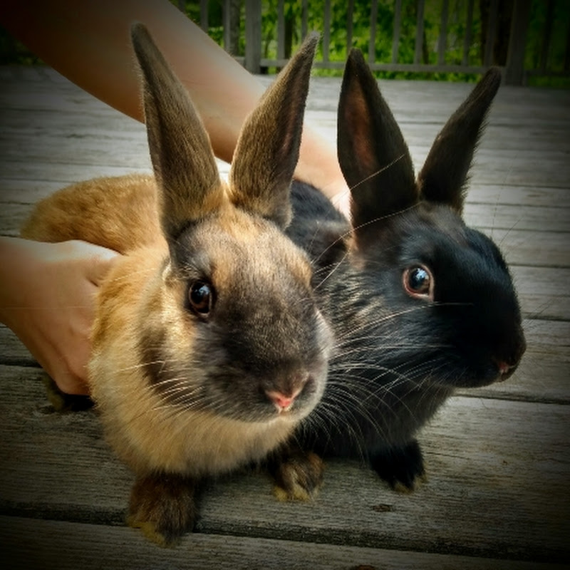 Eve & Becca