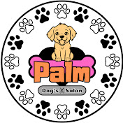 DOG salon Palm