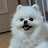 @coolcoolcool-z8r
