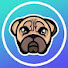 uTJ3JODw_fg-channel-avatar-Davizosky