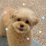 -vzKkK2jZKo-channel-avatar-러브위니 love winnie