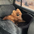 Channel Image