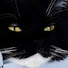 G5XJkISXTfo-channel-avatar-The Jones (of horror)