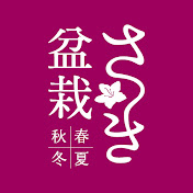 さつき盆栽 春夏秋冬