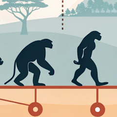 Human Origins