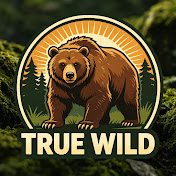 True Wild