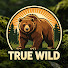 AxT6APU1Db4-channel-avatar-True Wild 