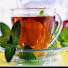 GlrtKiQNmKs-channel-avatar-Mint tea