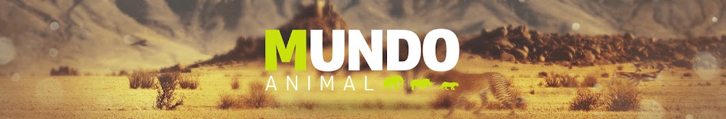 Mundo Animal Аватар канала YouTube