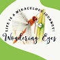 Wondering Eyes  logo