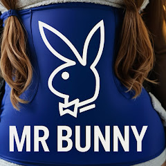 Channel thumbnail for Mr Bunny