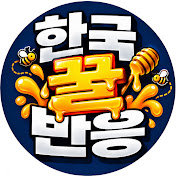 한국꿀반응
