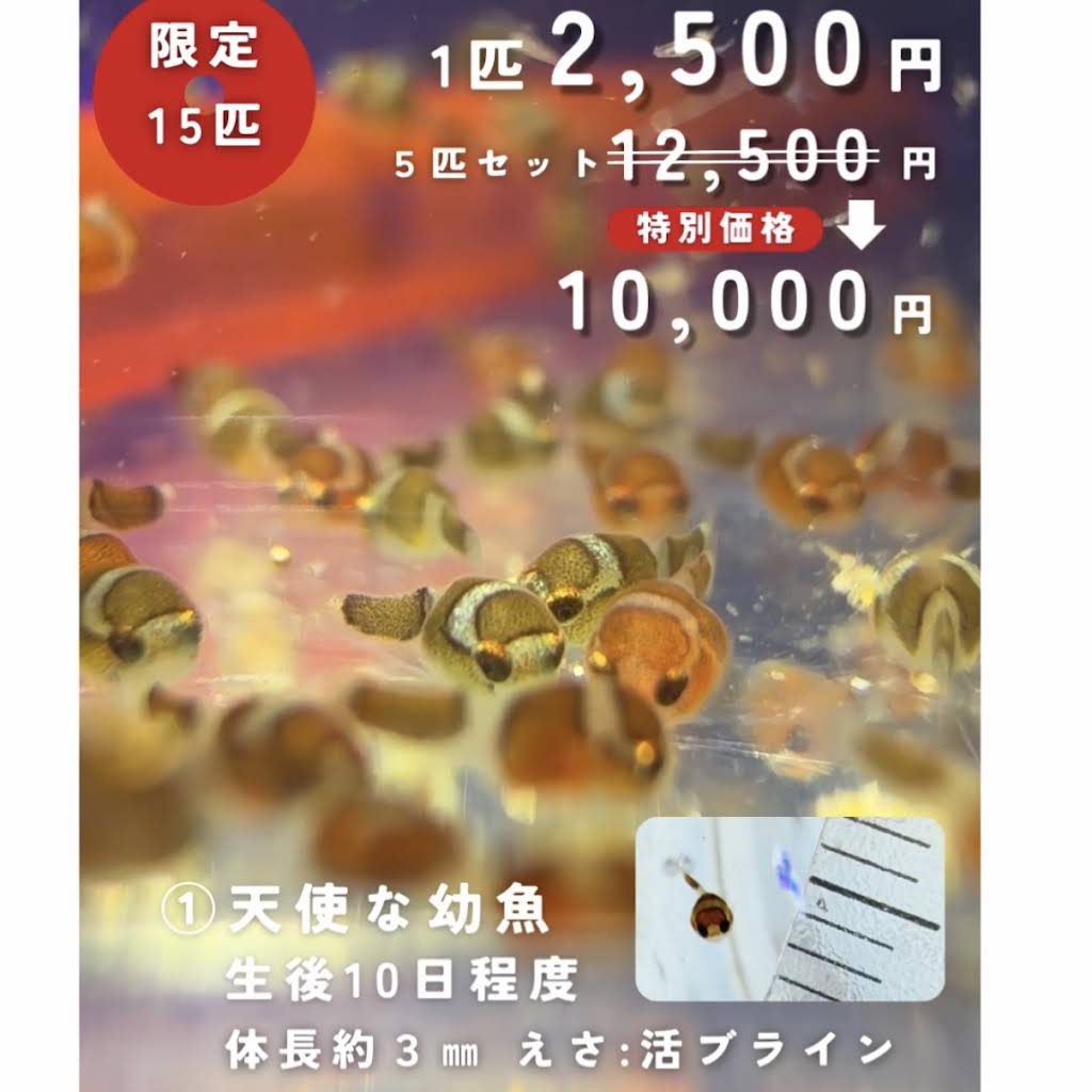 ダンゴ♡⁠˖⁠꒰⁠ᵕ⁠༚⁠ᵕ⁠⑅⁠꒱様 YouTube