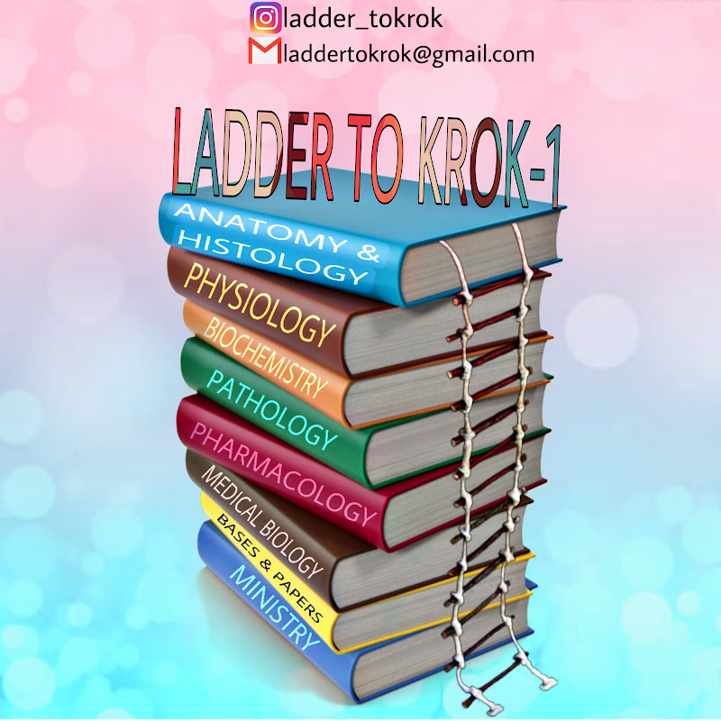 Ladder To Krok 1