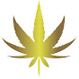 Cannabaquin RX logo