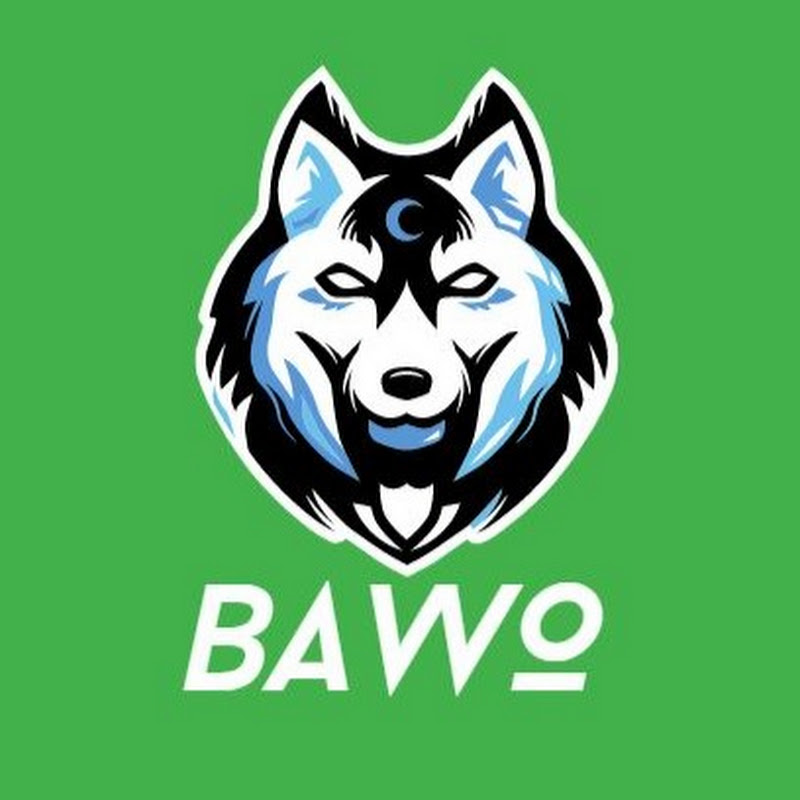 Team BAWO 