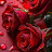 @ميادةمحمد-ج1ظ