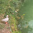 @greenlover-8501