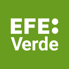 EFEverde, periodismo ambiental de Agencia EFE