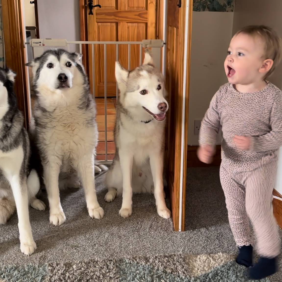 post-from-milperthusky
