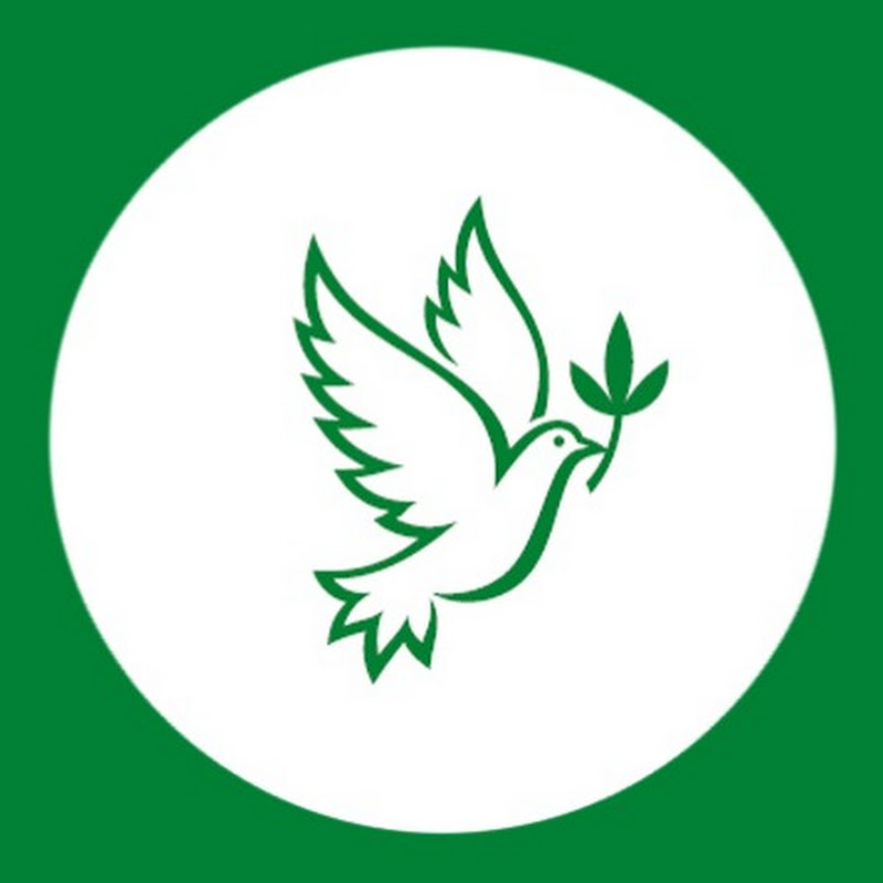 Владам Юг Logo