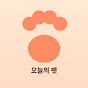 오늘의 팻