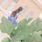 @HoudaHouda-nn2fx