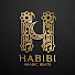 hPYXP-lqezI-channel-avatar-Habibi Arabic Beats