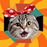 jUaM5fw8vmU-channel-avatar-แมวเม้นท์
