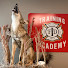 N9N4dMkCLQs-channel-avatar-Irving Fire Department Training Division
