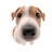 @user-u4829djee