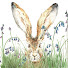 fNh8EBVn5-A-channel-avatar-Wild Woodland Studio by Sarah Reilly