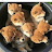 @효동이-w8t
