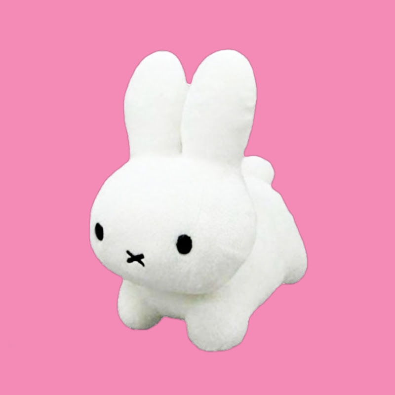 ася солнышко Logo